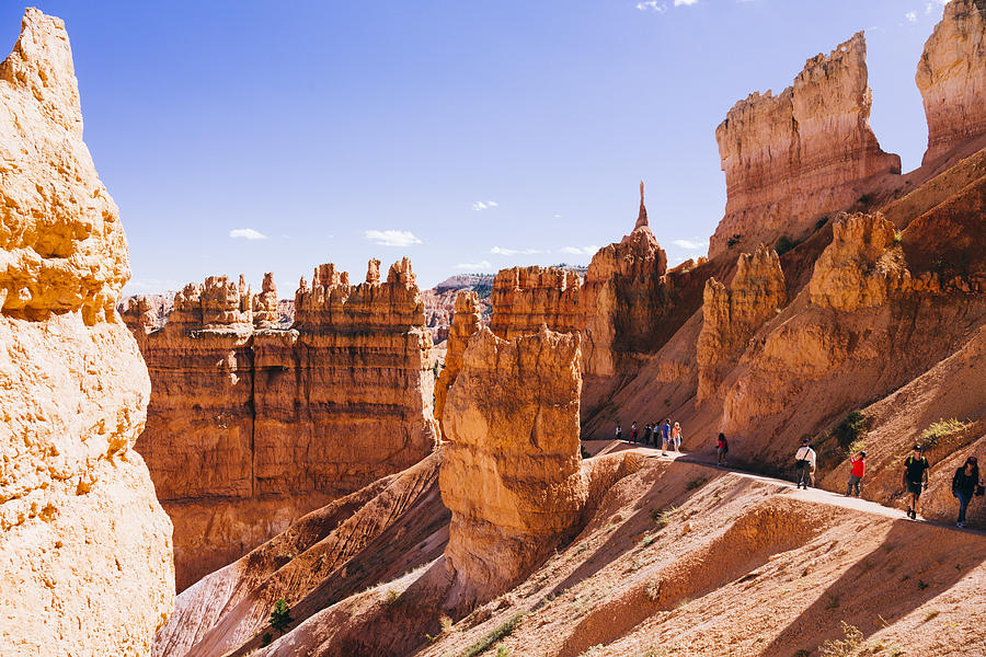Bryce Canyon Photograph by Theasis