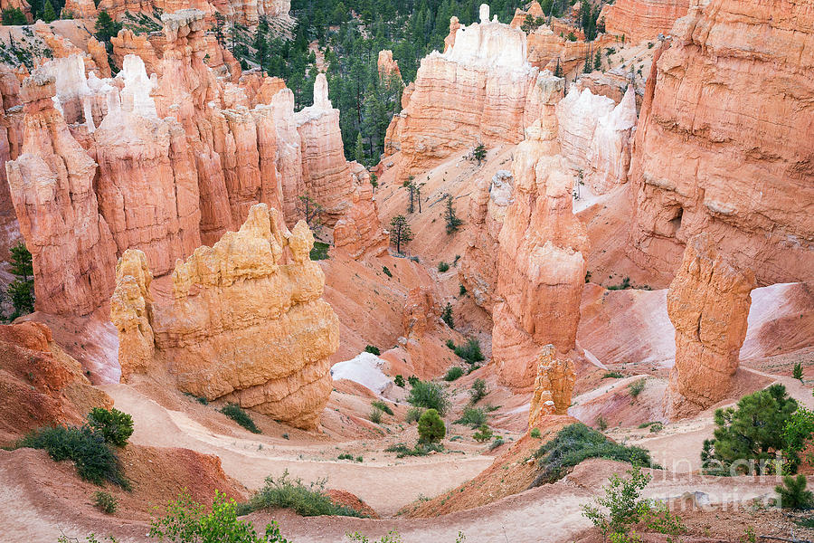 Bryce Canyon Trail View 239 Photograph by Maria Struss Photography