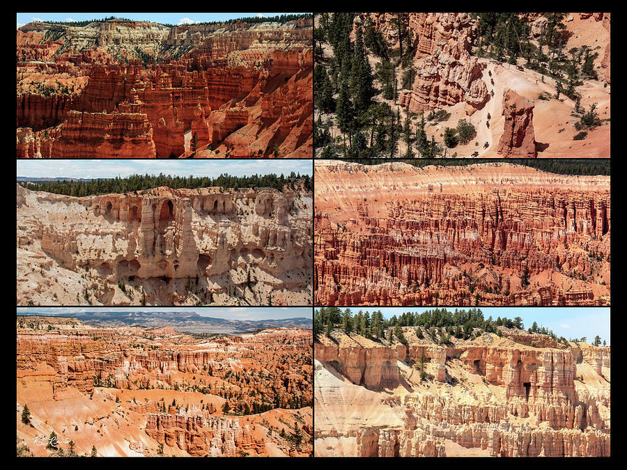 Bryce Canyon - U.S. National Parks - Scenic Collage  Photograph by Ronald Reid