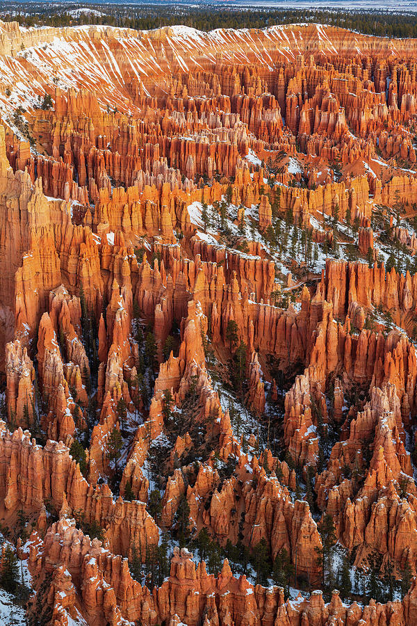 Bryce Canyon Morning Photograph by Patrick Campbell