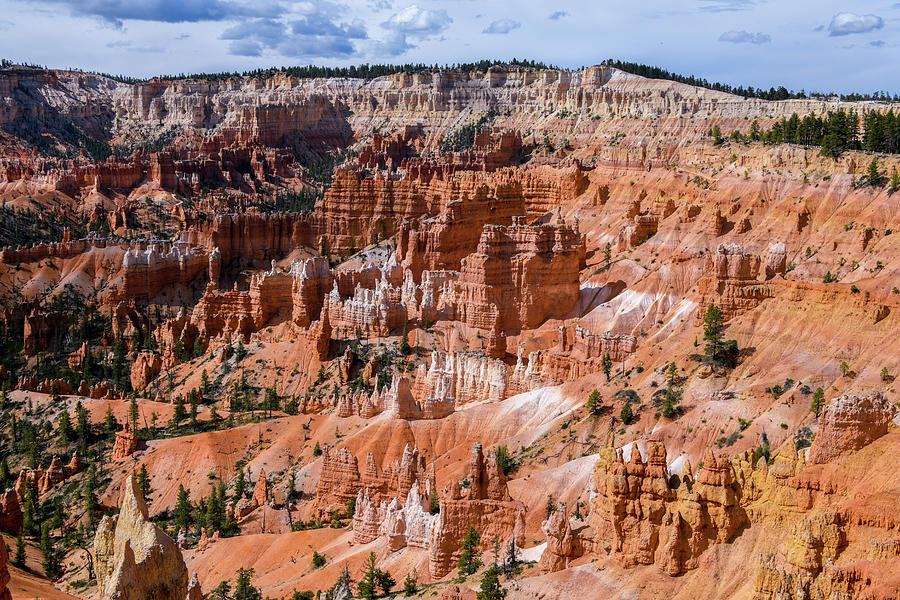 Bryce Canyon Vista Photograph by Anthony Sacco Bryce Canyon Vista Photograph by Anthony Sacco