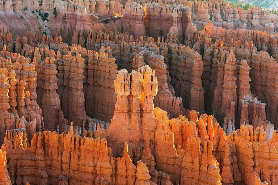 Bryce Hoodoo Portrait at Dawn 3 Photograph by Ron Long Ltd Photography