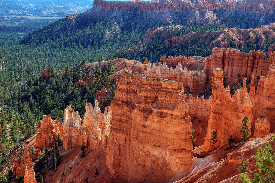 Bryce In Color Photograph by Paul Freidlund