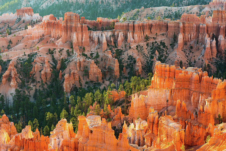 Bryce Morning Glow Photograph by Ron Long Ltd Photography