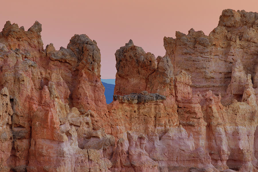 Bryce Point Sunset Detail Photograph by Jean Noren