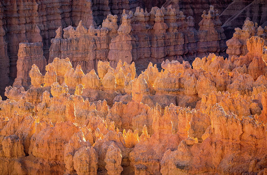 Bryce Sunset 3 Photograph by Jean Noren