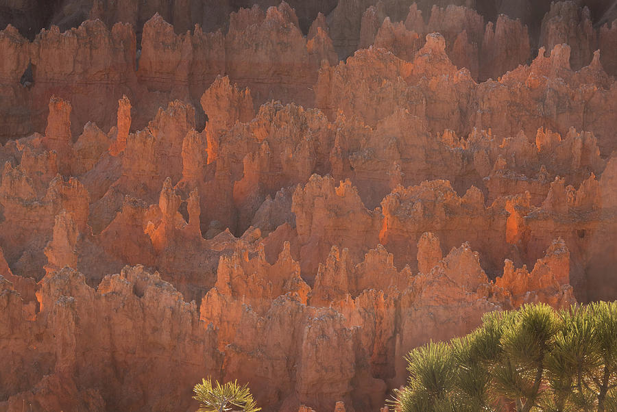Bryce Sunset 8 Photograph by Jean Noren