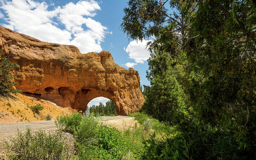 Bryson Highway Arch Photograph by David Choate