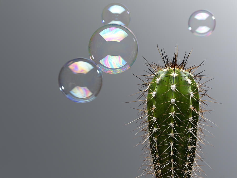 Bubble floating near spiny cactus Photograph by Andy Roberts