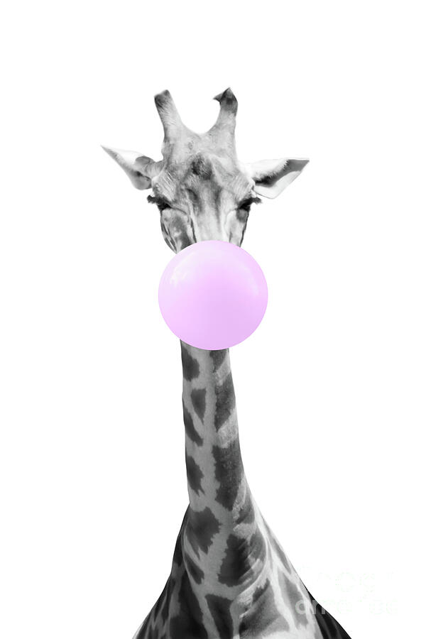 Bubble gum giraffe Photograph by Delphimages Photo Creations