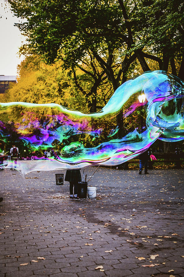 Bubble In Central Park Photograph by Alberto Zanoni