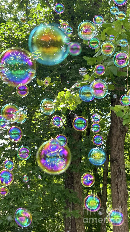 Bubble wonderland 2025