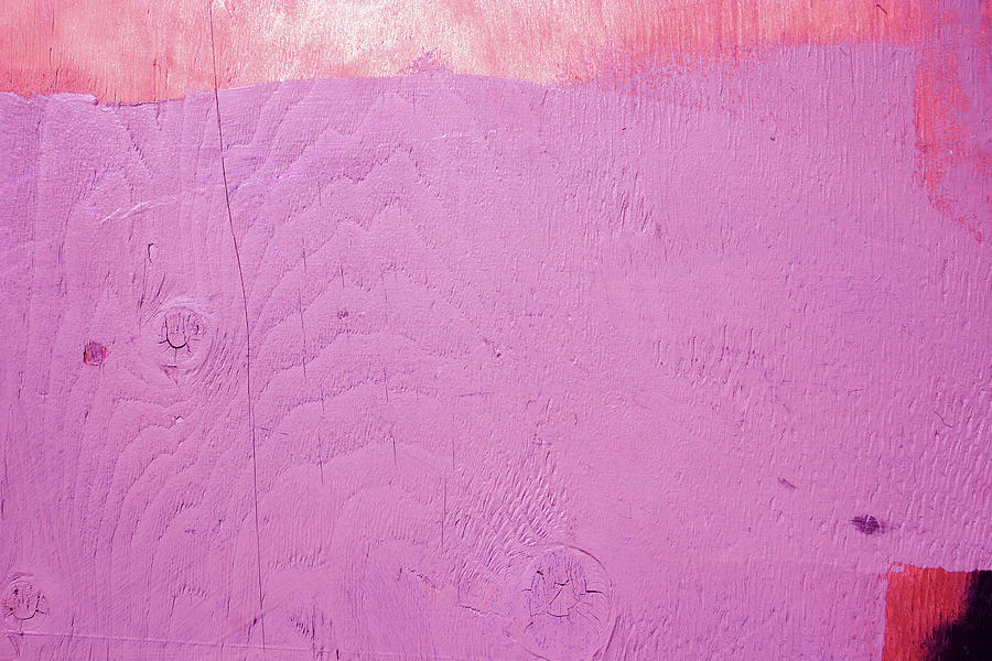 Bubblegum Pink Wall- Art by Linda Woods Photograph by Linda Woods