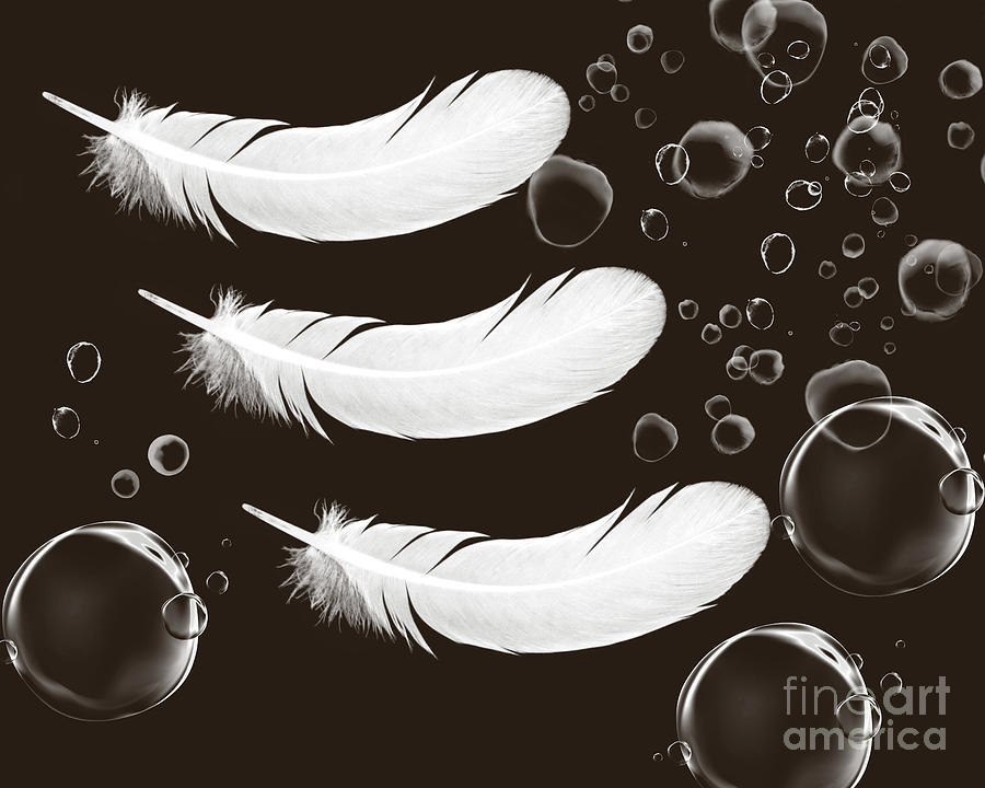 Bubbles And Feathers Digital Art by Felix Lai