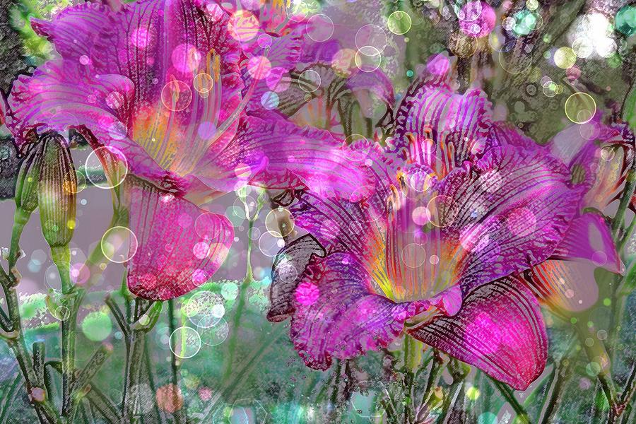 Bubbles and Lilies  Digital Art by Don Wright