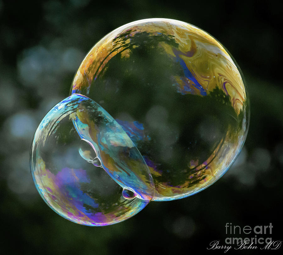 Bubbles Photograph by Barry Bohn