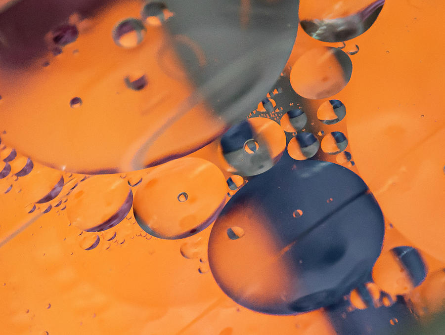 Bubbles Photograph by Canadart -