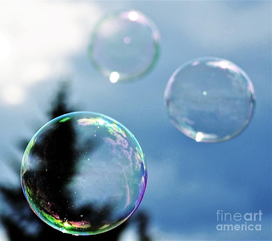 Bubbles on the Mountaintop Photograph by Kevin Fortier