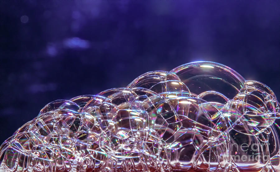 Bubbles Photograph by Tom Watkins PVminer pixs