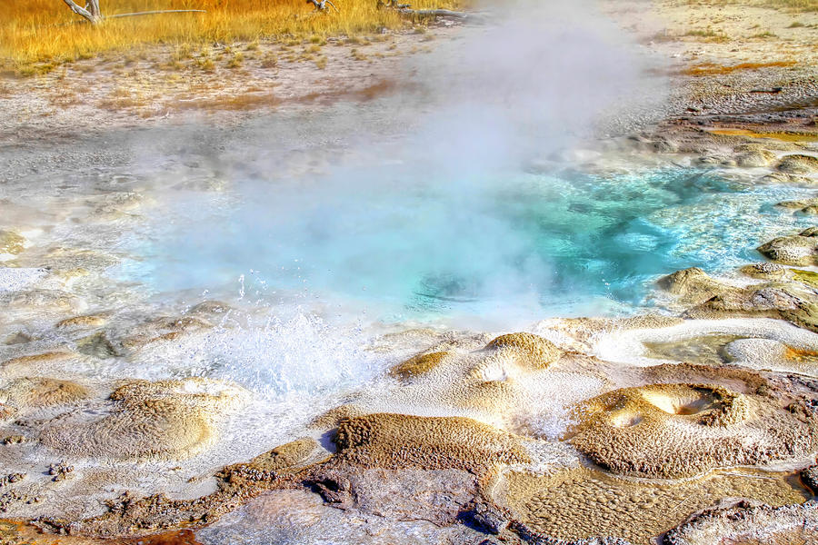Yellowstone National Park Photograph - Bubbling Thermal Pool by Donna Kennedy