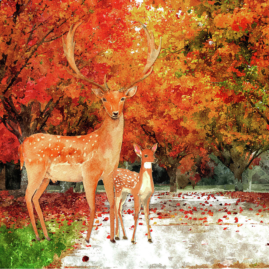 Buck and Fawn Autumn Forest Digital Art by Doreen Erhardt