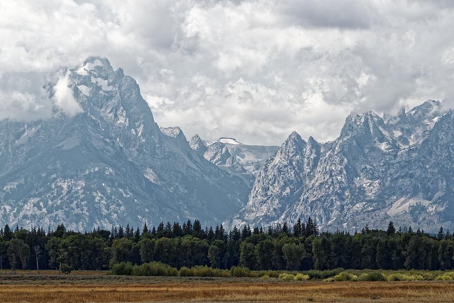 Buck and Wister - Grand Teton National Park Photograph by KJ Swan