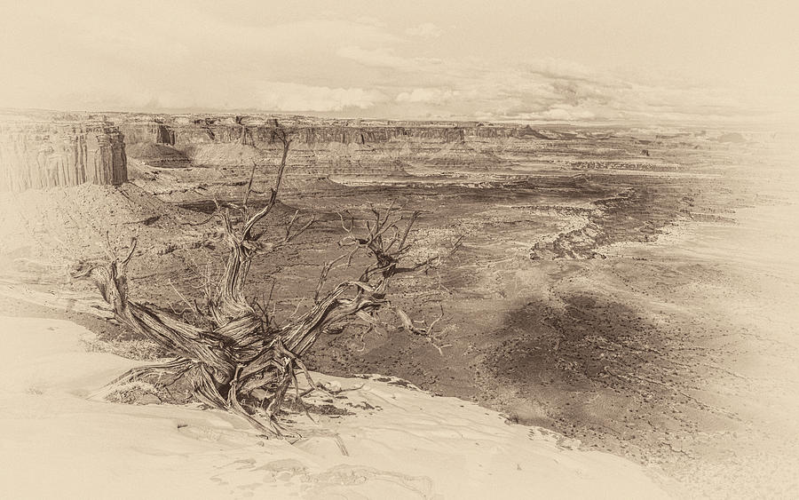 Buck Canyon in Winter - Antique Photograph by Kenneth Everett