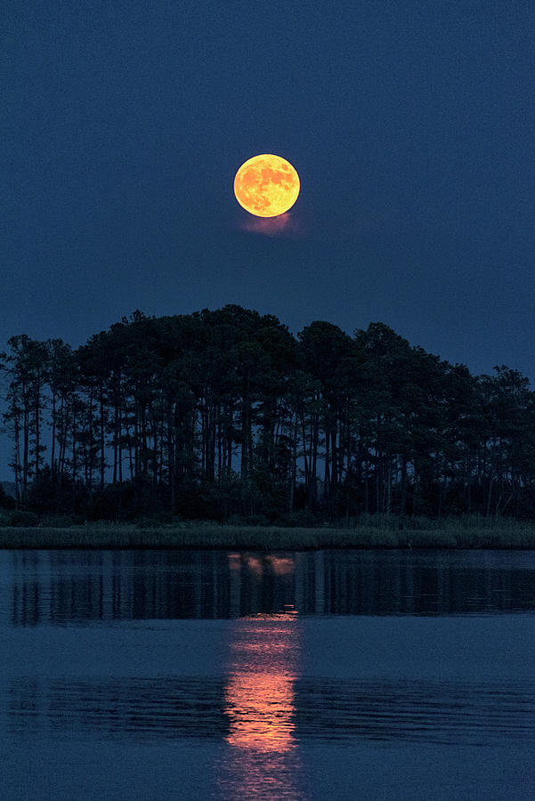 Buck Moon 5 Photograph by Robert Fawcett