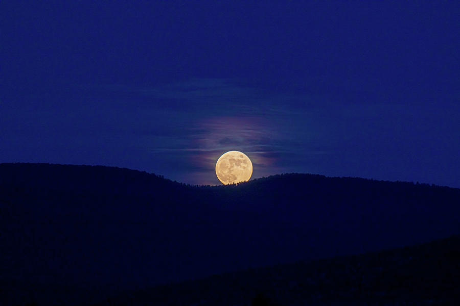 Buck Moon Photograph by Elijah Rael