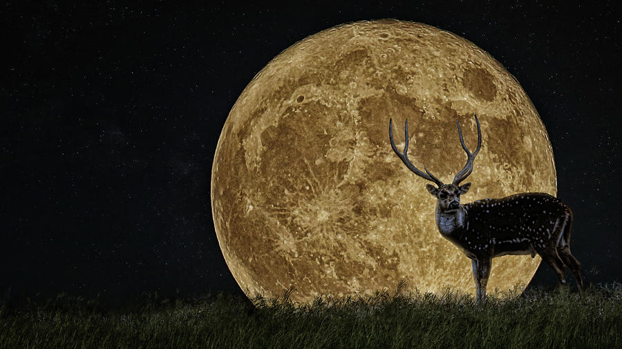 Buck Moon Rising Digital Art by Brad Barton