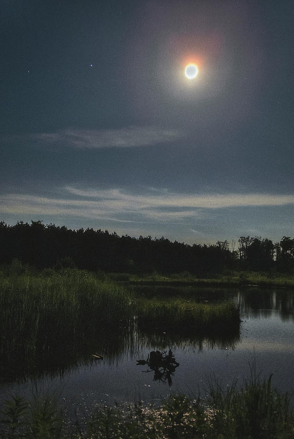 Buck Moon Photograph by Robert Fawcett