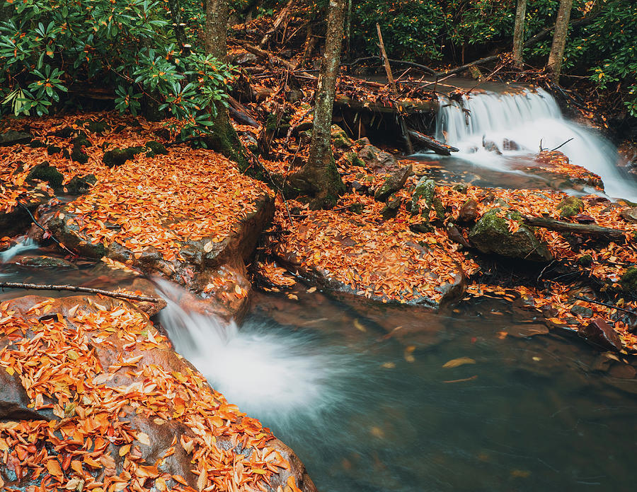 Buck Mountain Creek Autumn Falls Photograph by Jason Fink