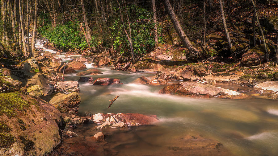 Buck Mountain Creek in April Photograph by Jason Fink