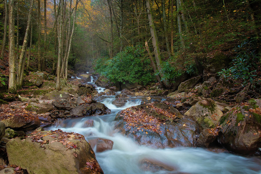 Buck Mountain Creek in Lehigh Gorge Photograph by Kristia Adams