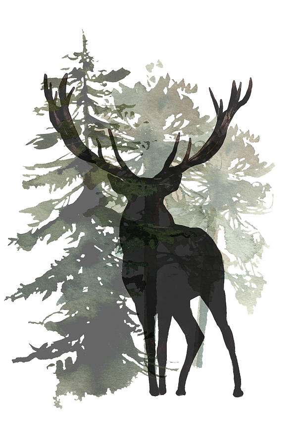 Buck Shadow In Green Forest Digital Art by N Kirouac