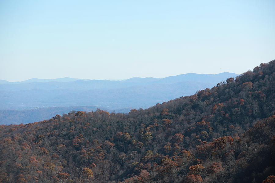 Buck Springs Gap No 2 Photograph by Stamp City | Fine Art America