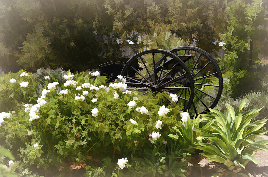 Buckboard and White Flowers 2 Photograph by Floyd Snyder