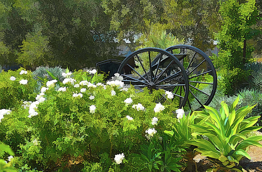 Buckboard and White Flowers Photograph by Floyd Snyder