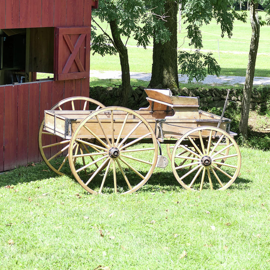 Buckboard wagon Photograph by Bentley Davis