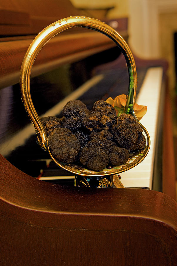 Bucket of Black Diamond Truffles Photograph by Bob Pardue