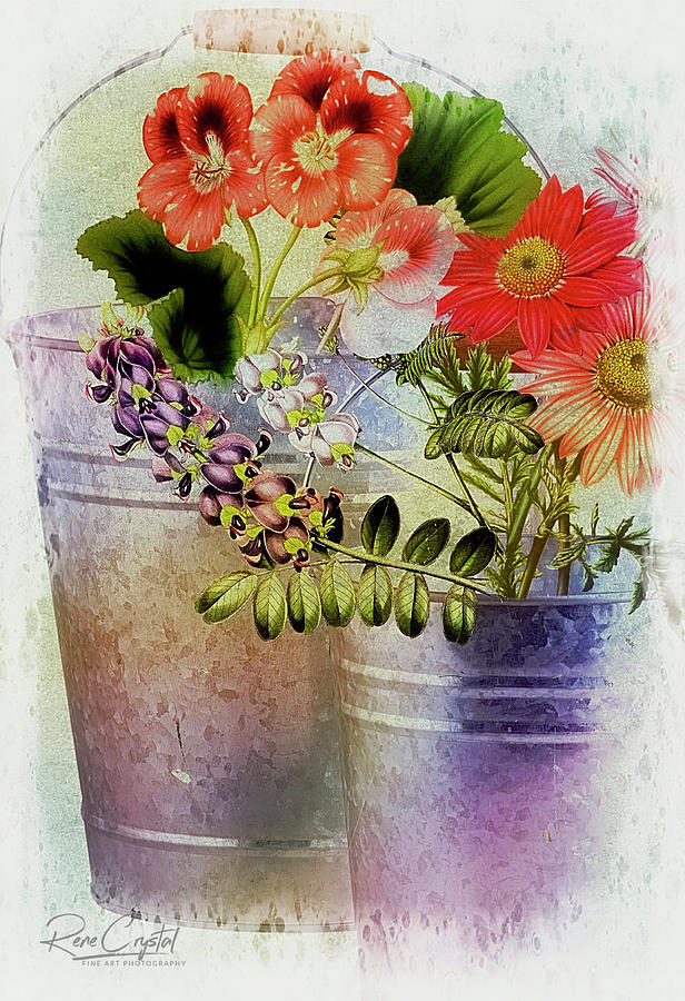 Buckets Of Beauty Photograph by Rene Crystal