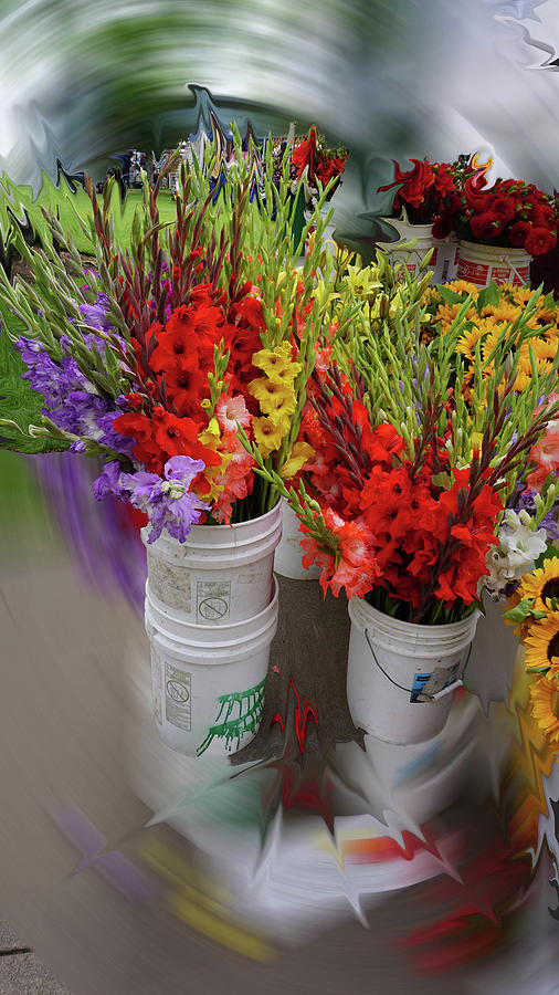 Buckets of Gladiolas Photograph by Cathy Anderson