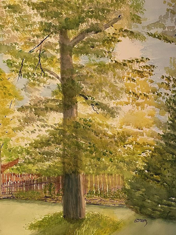 Buckeye Tree Painting by David Bartsch