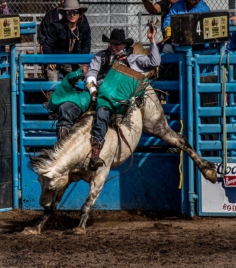 Bucking Bronco Photograph by Jake Shields - Fine Art America