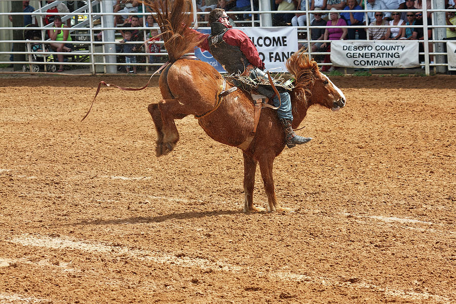 Bucking Horse Photograph by Sally Weigand