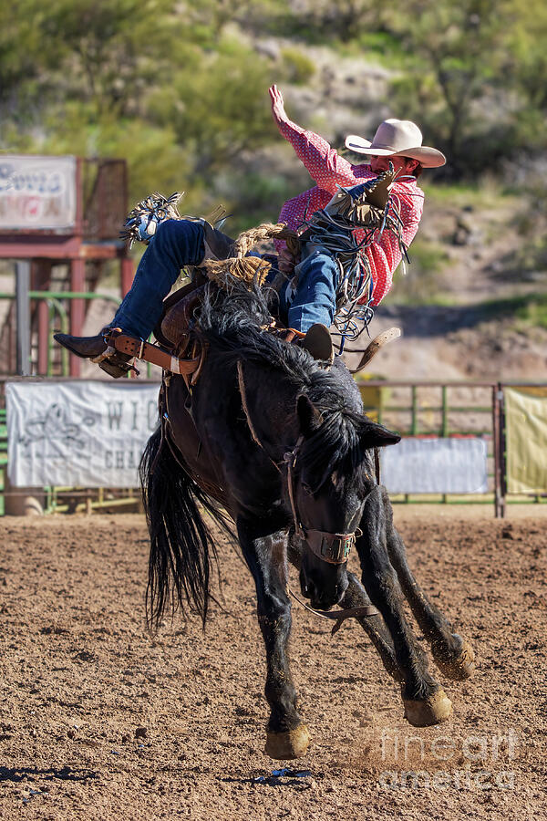 Bucking Off Photograph by Priscilla Burgers - Pixels