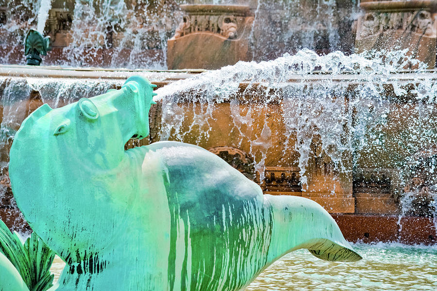 Buckingham Fountain Seahorse Photograph by Kyle Hanson