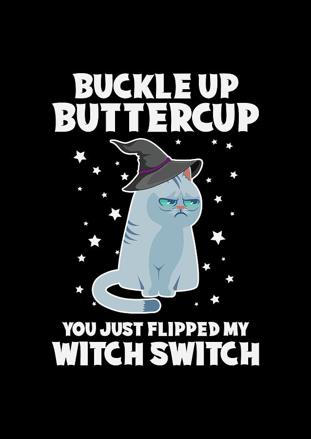 Buckle Up Buttercup You Just Flipped My Witch Switch Digital Art by Sambel Pedes