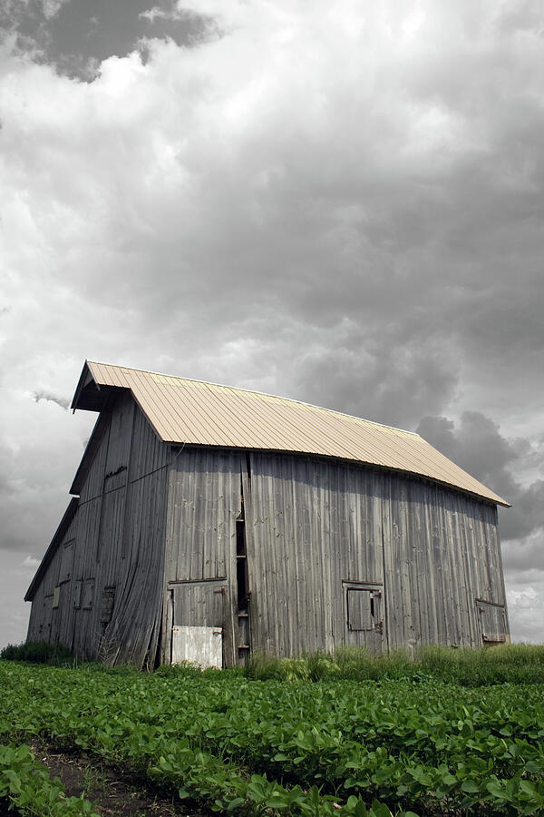 Buckling Beauty Photograph by Dylan Punke Buckling Beauty Photograph by Dylan Punke