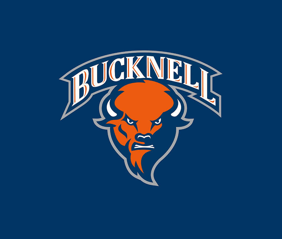 Bucknell Bison Comforter Painting by Isla Allen | Pixels